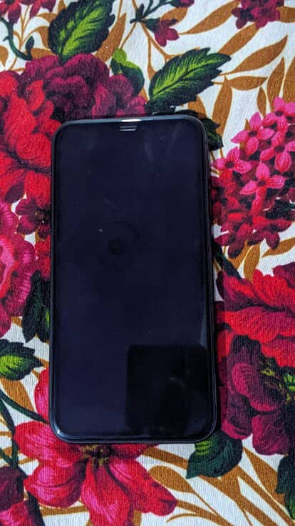 Apple iPhone 11 1