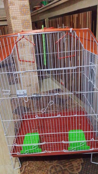 new Cage Ha 1 hafta phele Lia Tha