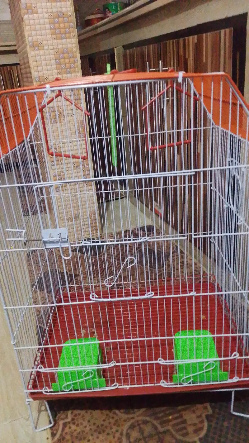 new Cage Ha 1 hafta phele Lia Tha