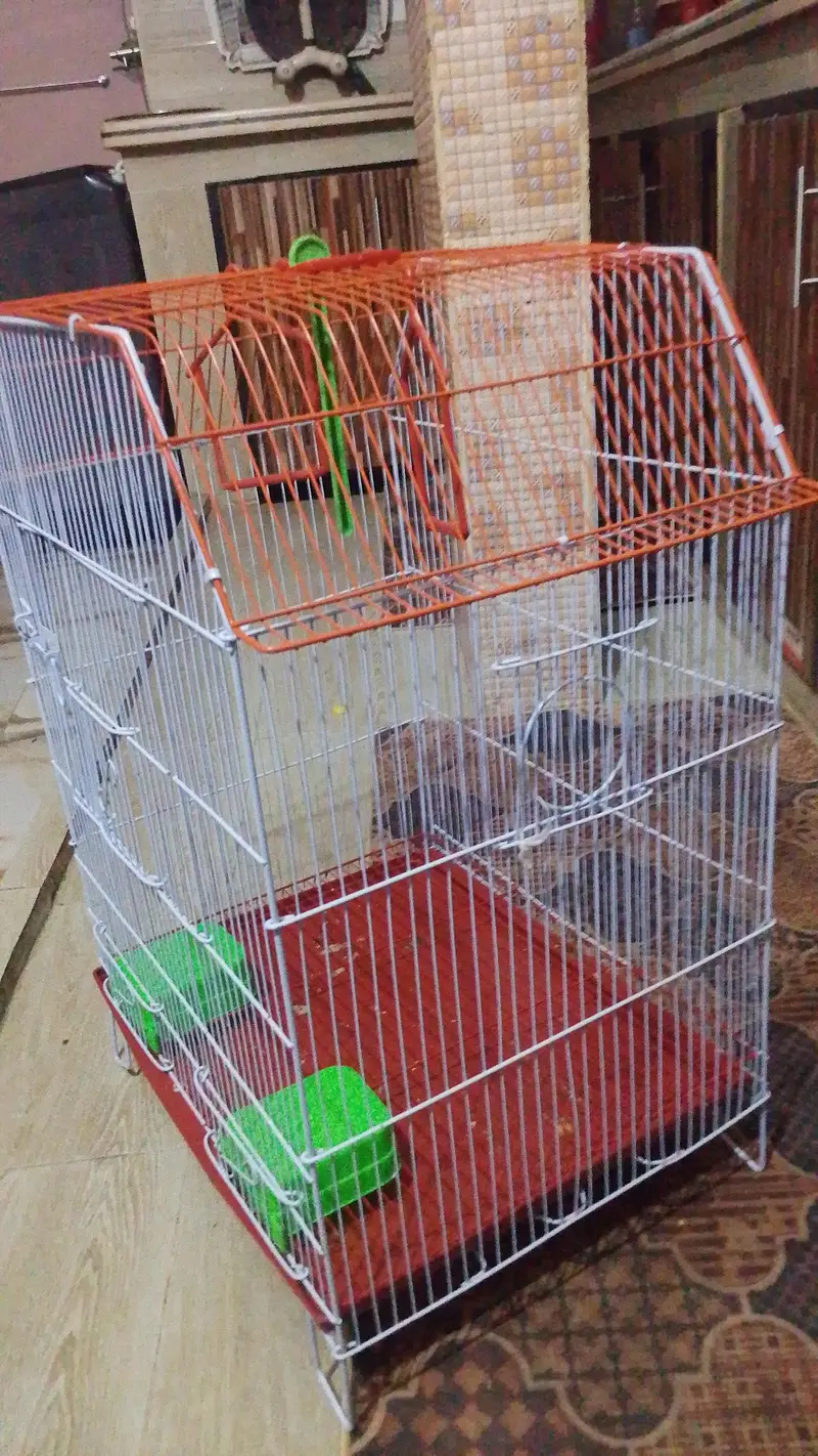 new Cage Ha 1 hafta phele Lia Tha — photo 2