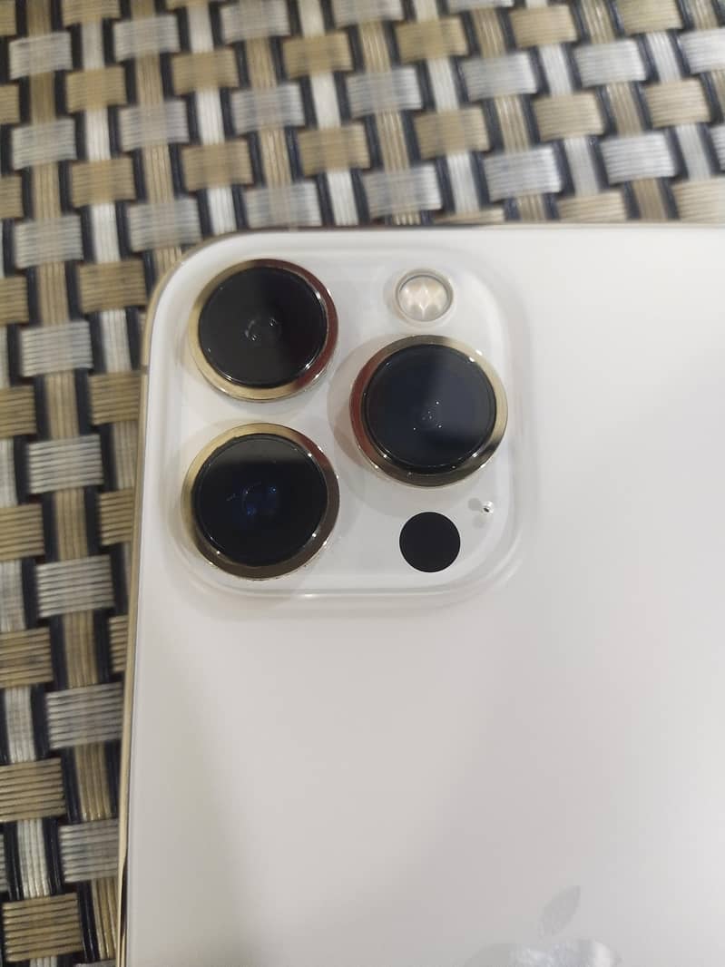 Apple iPhone 13 Pro Max 1