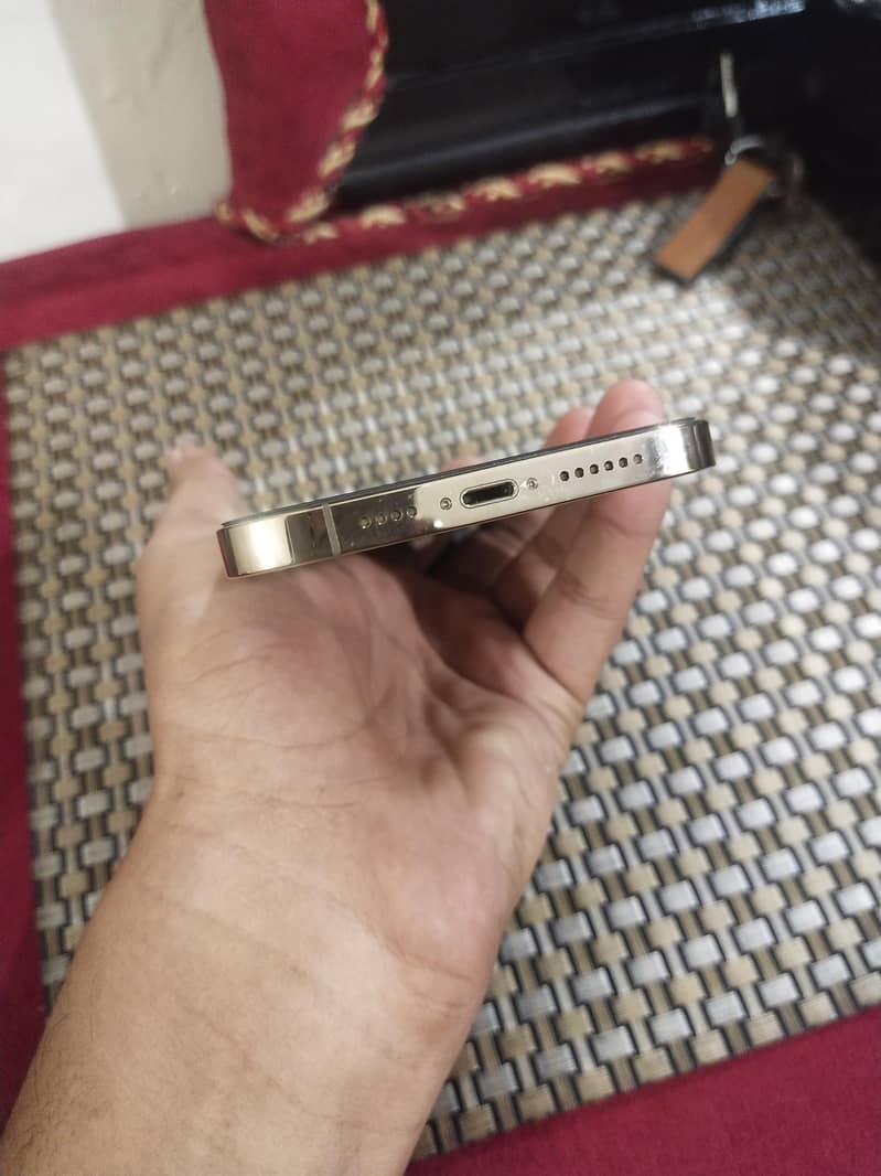 Apple iPhone 13 Pro Max 4