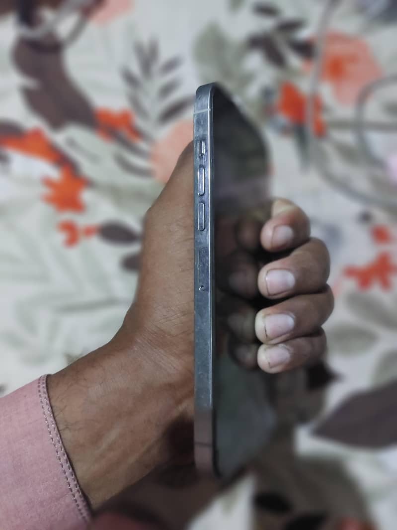Apple iPhone 13 Pro Max 3