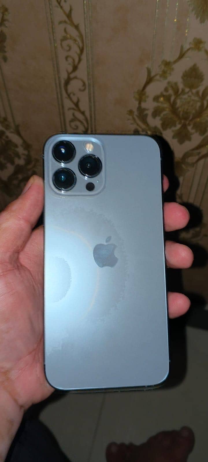 Apple iPhone 13 Pro Max 1
