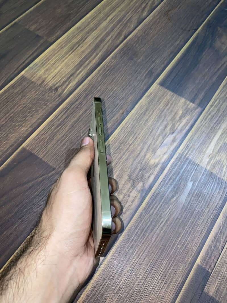 Apple iPhone 13 Pro Max 0