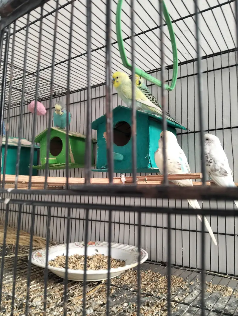 urgent sale karnay hain price finale hy — photo 4