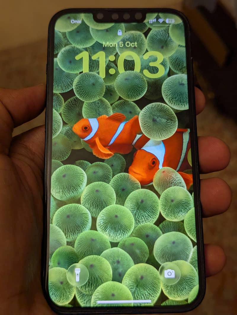Apple iPhone 13 8