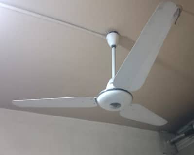 SK fan