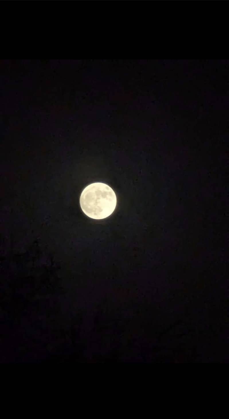 Google Pixel 6 Pro 7