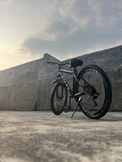 Mountain bicycle