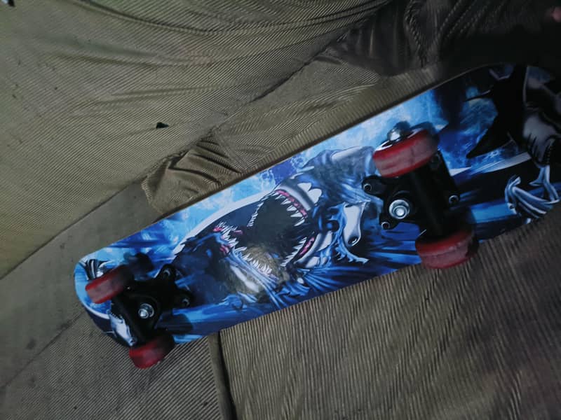 skiting board 0