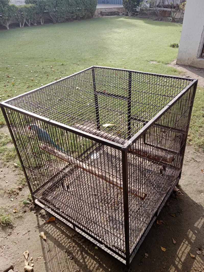 Cage For Sale — photo 2