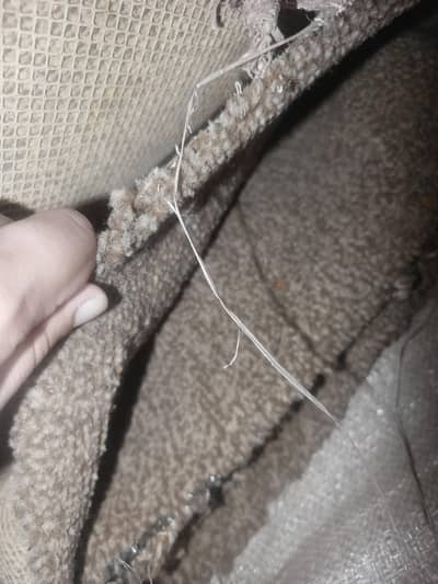 carpet 12/14 kamry k Liya ha