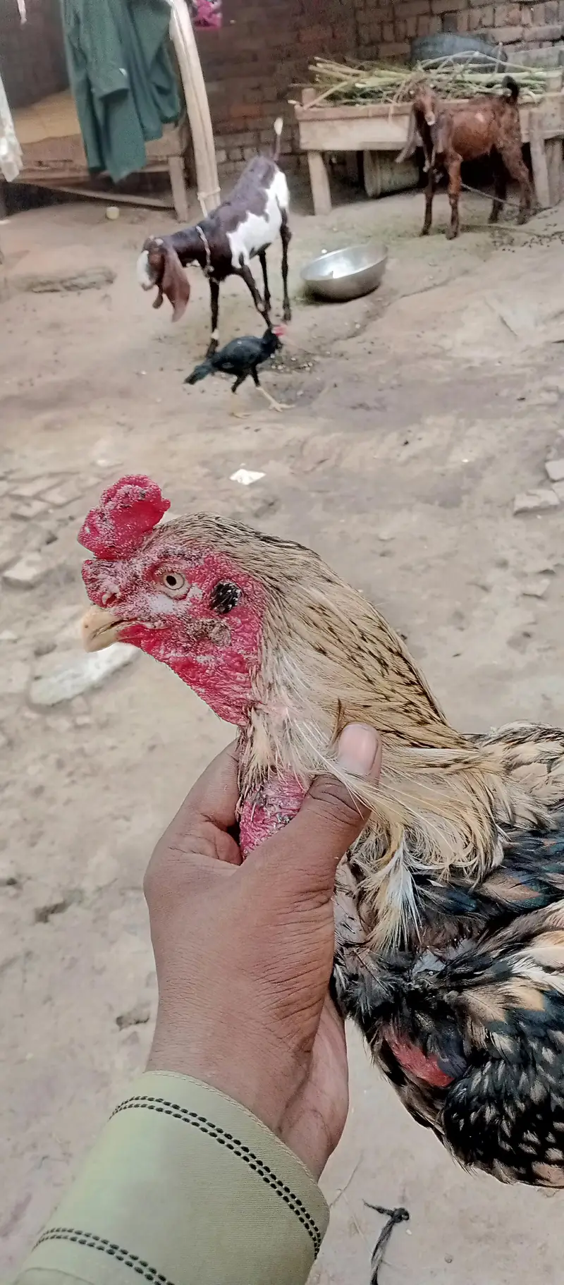 urgent sale krna ha — photo 5