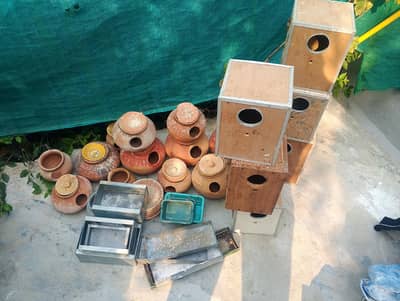 Budgies Parrots boxes , Dollies and Pots for sale