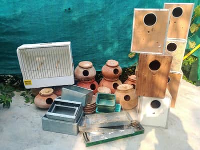 Budgies Parrots boxes , Dollies and Pots for sale