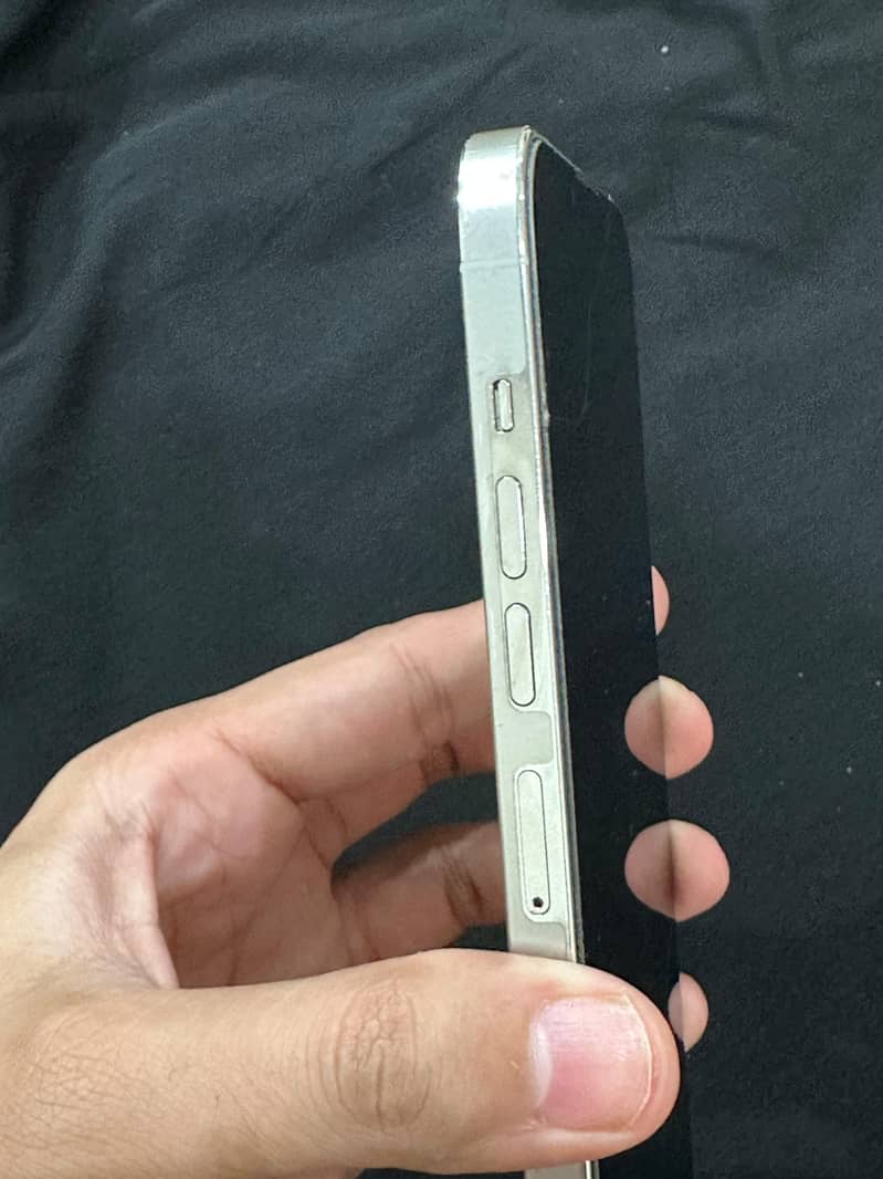 Apple iPhone 13 Pro Max 1