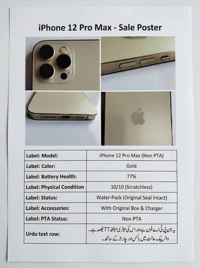 Apple iPhone 12 Pro Max