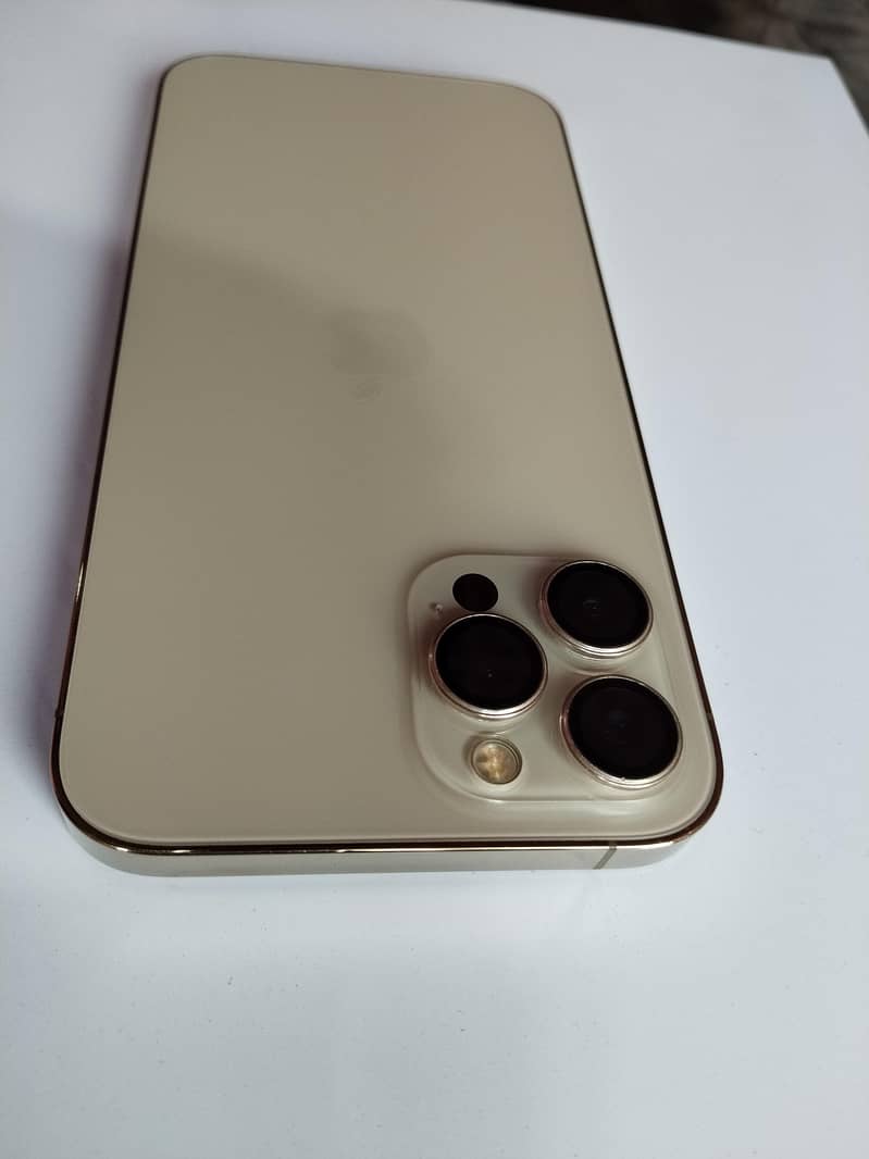 Apple iPhone 12 Pro Max 1