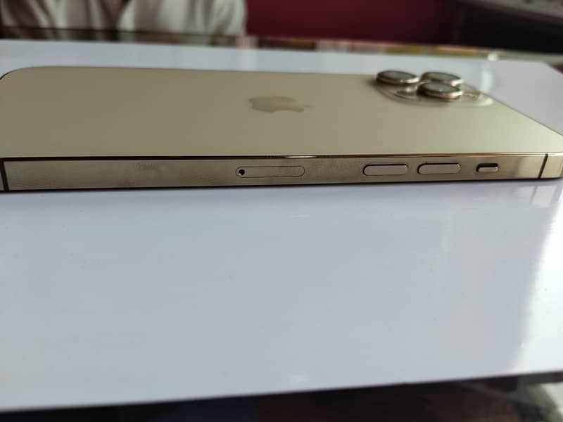 Apple iPhone 12 Pro Max 2