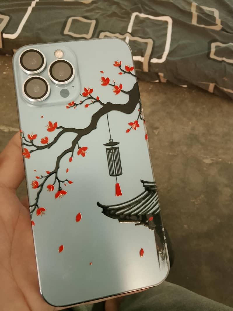 Apple iPhone 13 Pro Max 1