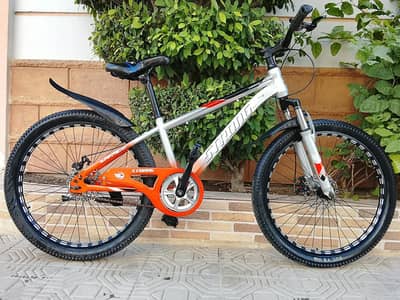 Strong Imported Cycle - 24 size - 0320/2257/271