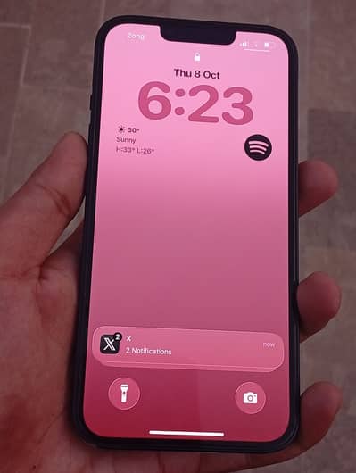 Apple iPhone 13