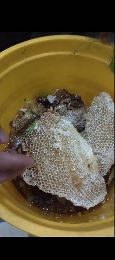 pure Honey 100%orignal