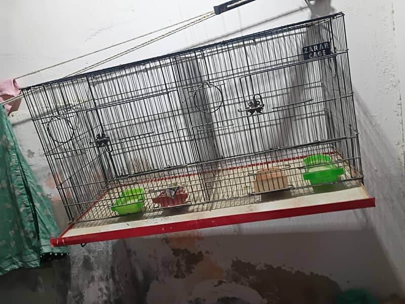 folding cage 1