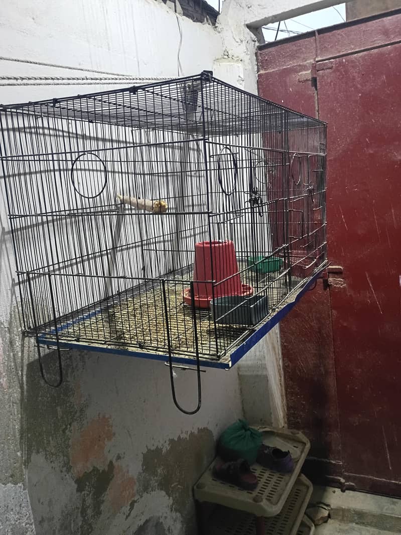 folding cage 3