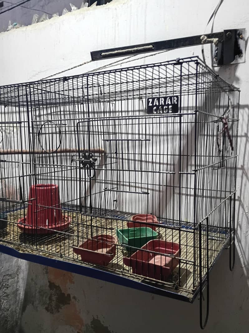 folding cage 4