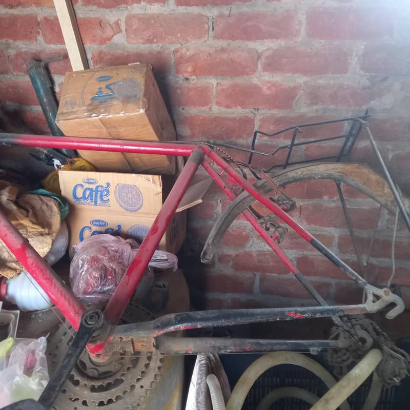 phoenix cycle 2
