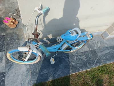 Kids Bicycle 15 Thousand 0 3 2 2 4 6 4 3 0 8 9