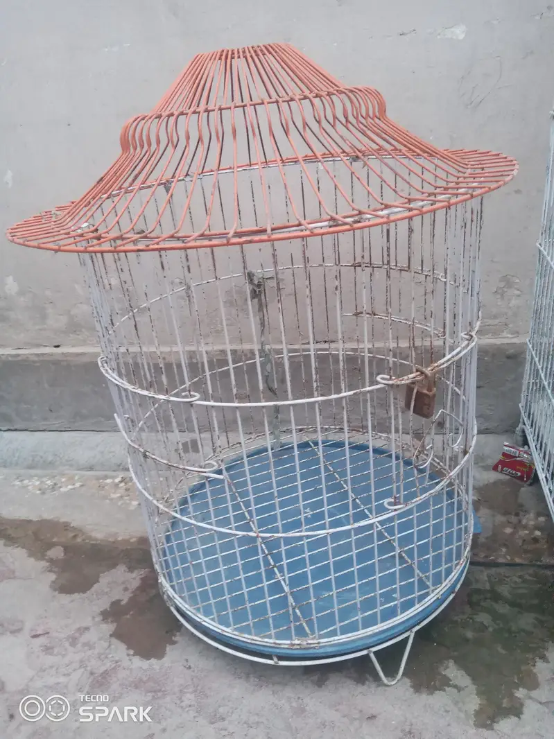 2 Used Bird Cages for Sale – Beautiful Iron Cages — photo 2