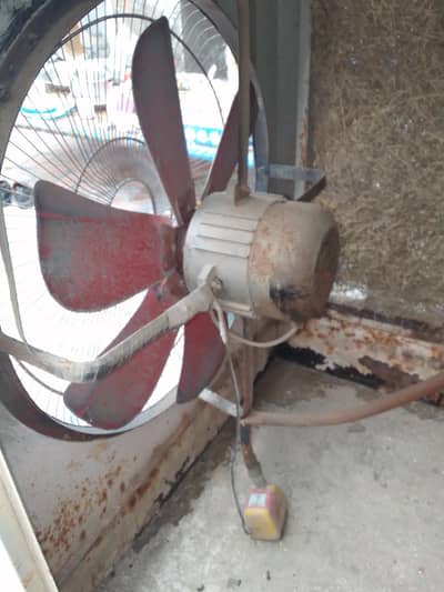 metel boday roome cooler full size