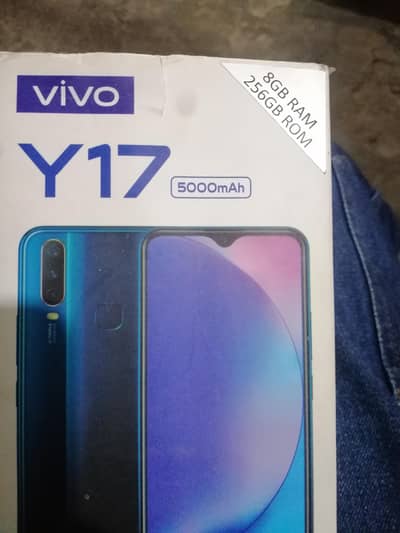 Vivo Y17