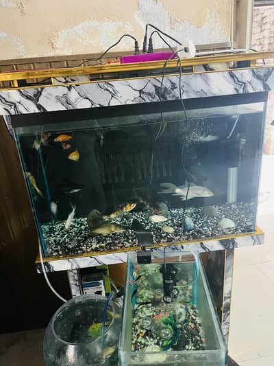 Aquarium / Fish Tank