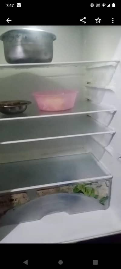 fridge