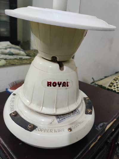 inverter Ceiling Fan-Royal for sale