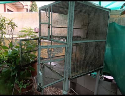 White cage for birds #stand not included #