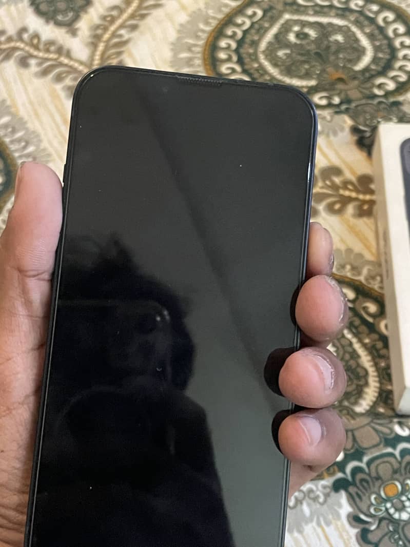 Apple iPhone 13 0