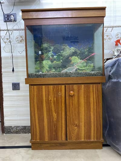 Fish Equarium
