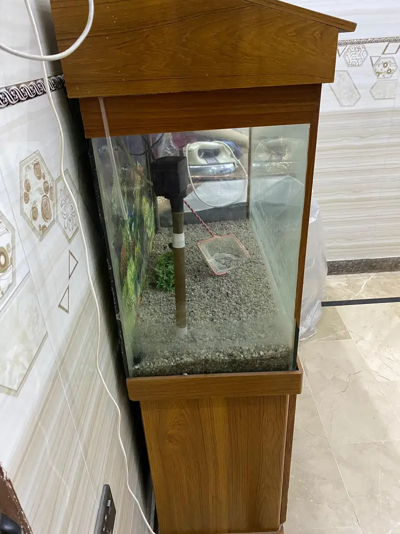 Fish Equarium — photo 3