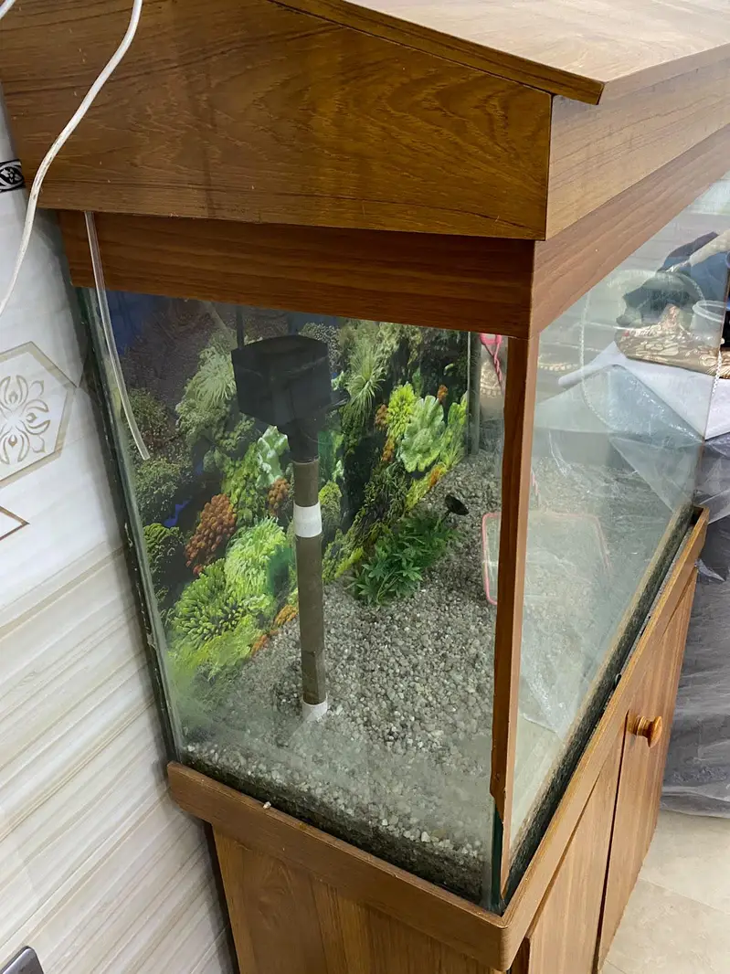 Fish Equarium — photo 4