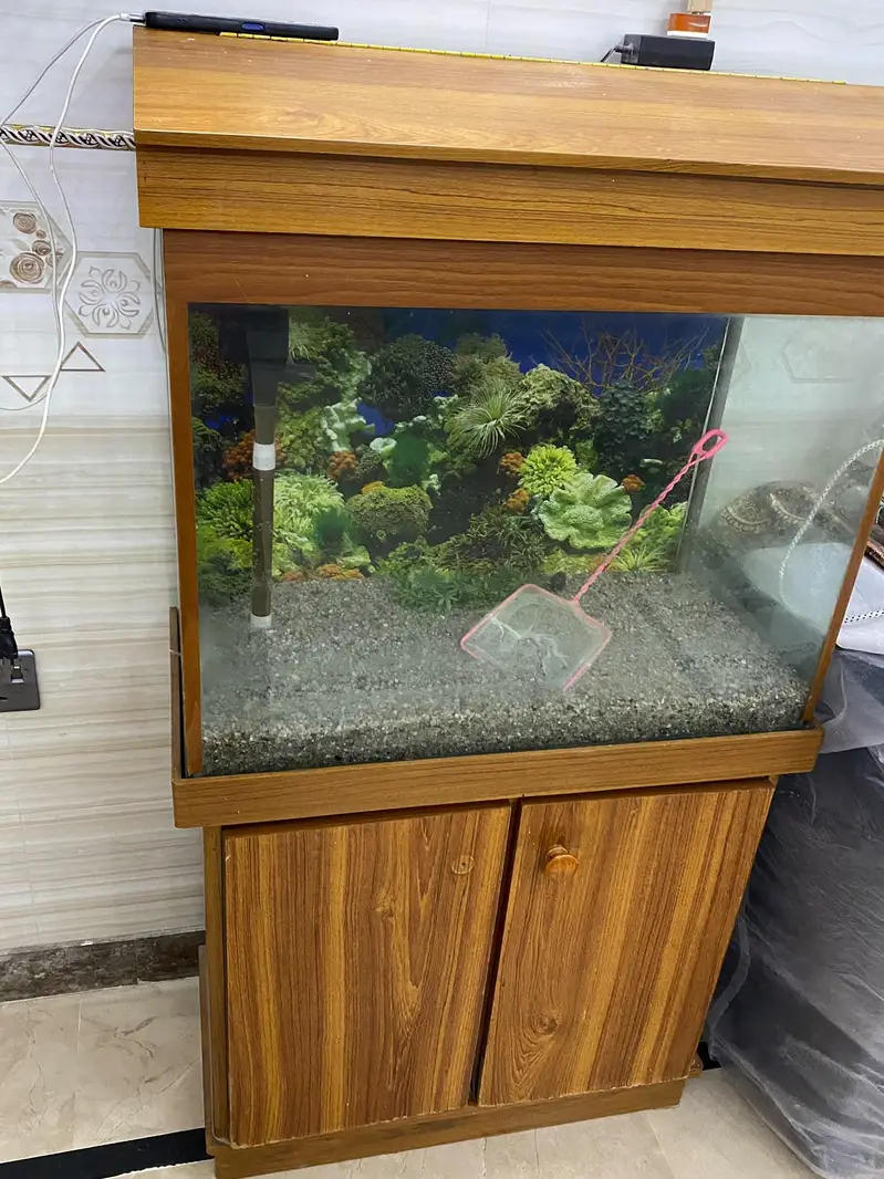 Fish Equarium — photo 6