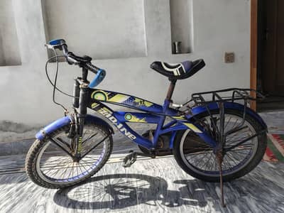 Kids Bicycle for Sale | 10–12 Years