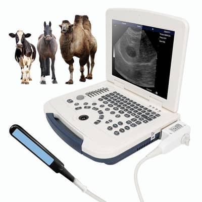 Ultrasound Machine Nyro Vet Veterinary with Rectal & Convex Probe