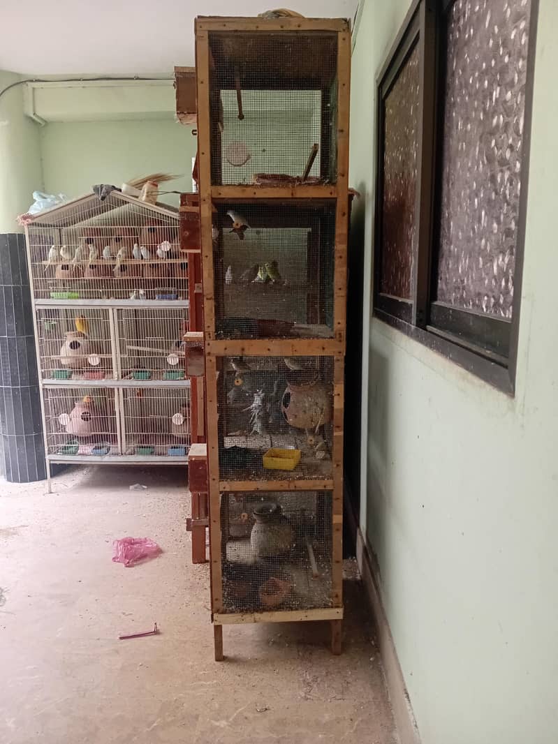 4 portion cage 0