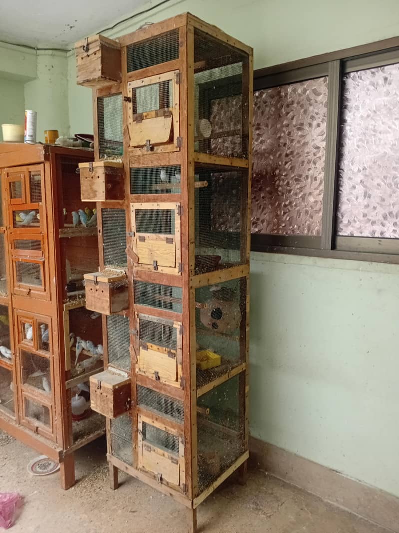4 portion cage 1