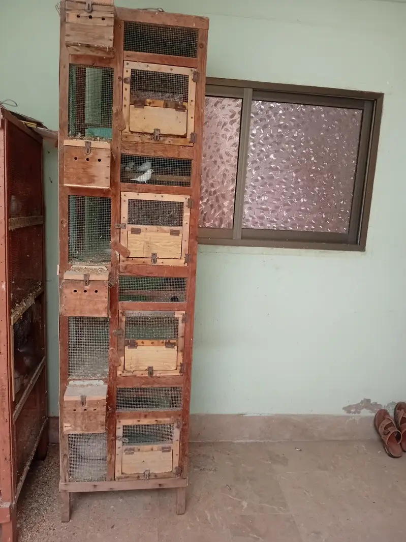 4 portion cage — photo 3